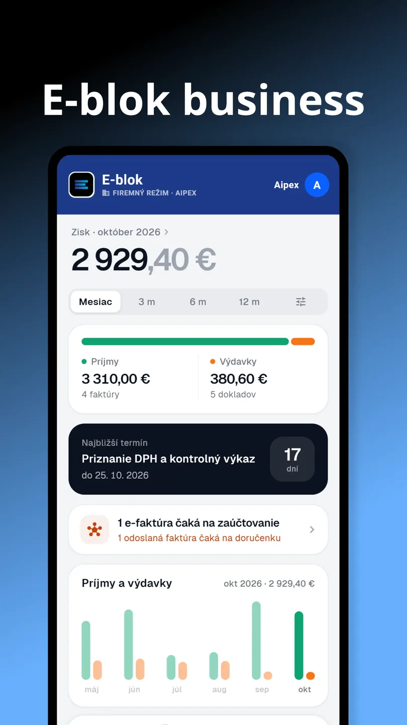 E-blok Business: zisk, príjmy a výdavky na jednom mieste